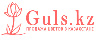 Аральск